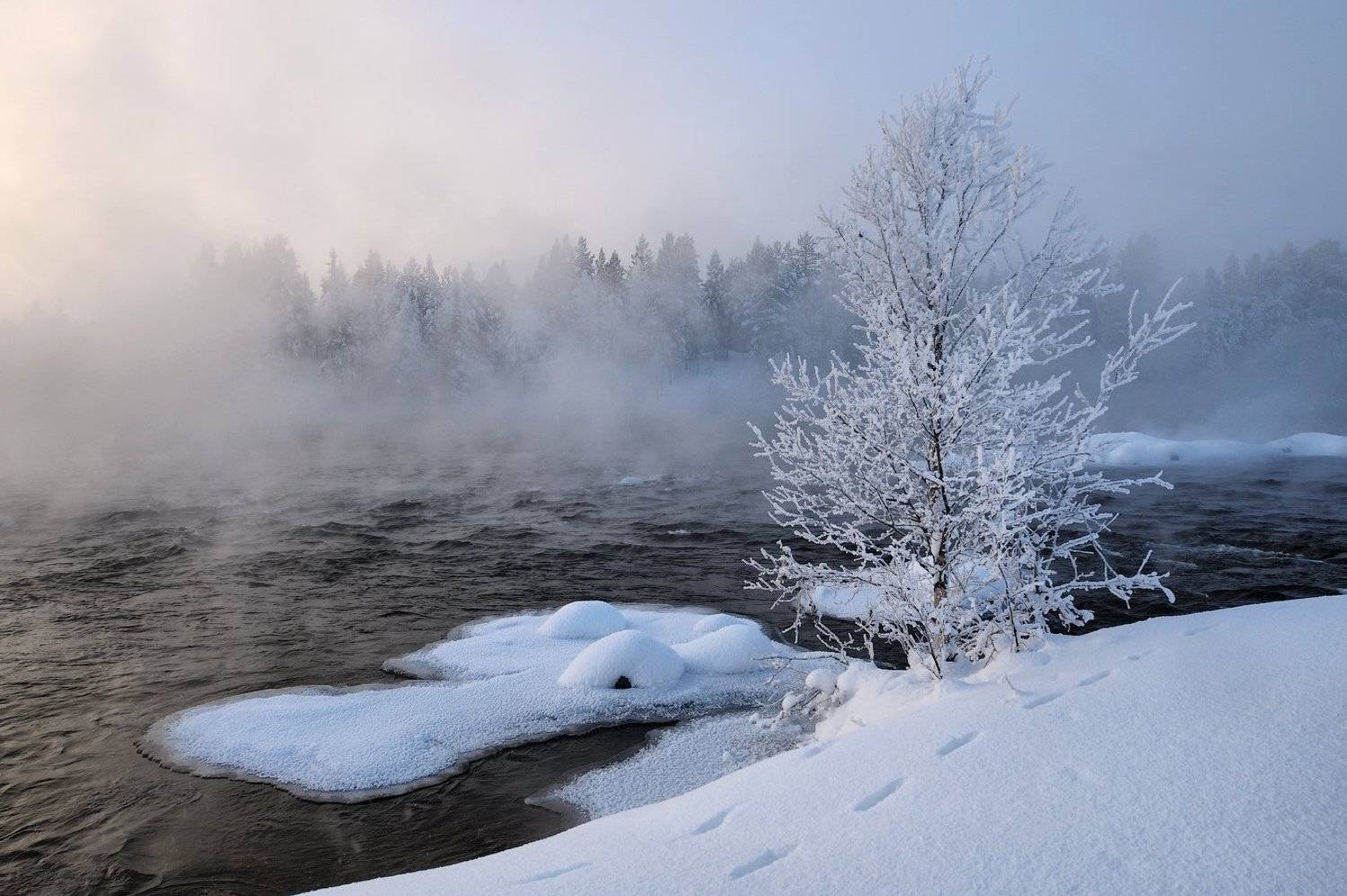кольский, заполярье, север, пиренга, Roman Goryachiy