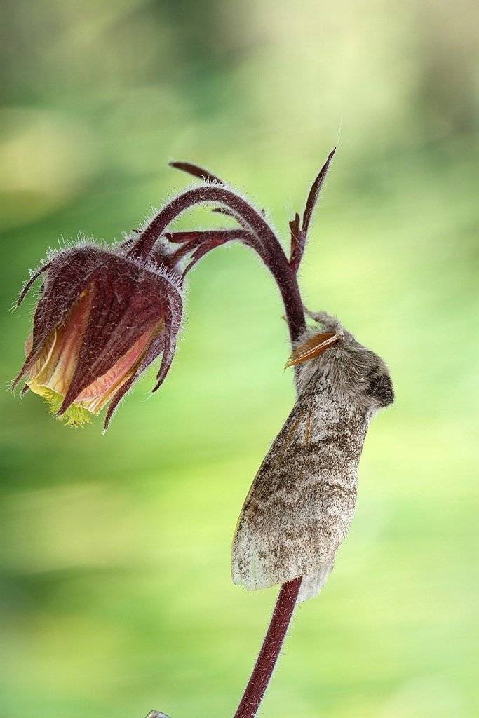 , Сергей Таланов