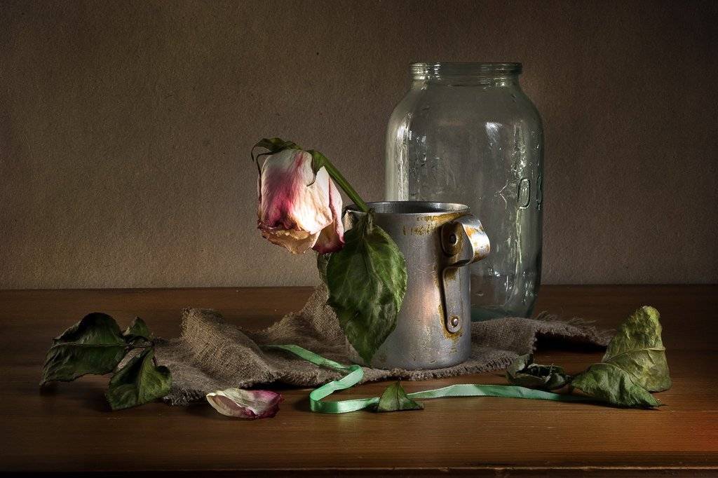 , Лев Сердюков