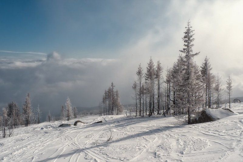 Vitosha фото превью