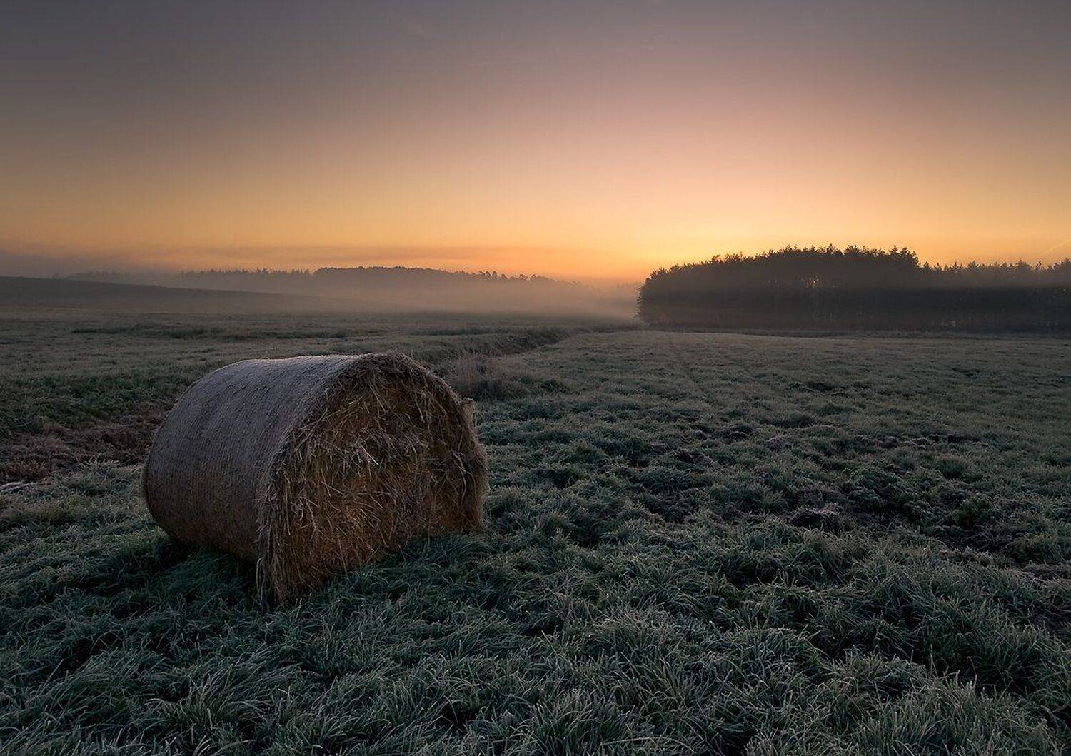 , Miroslaw Grobelski