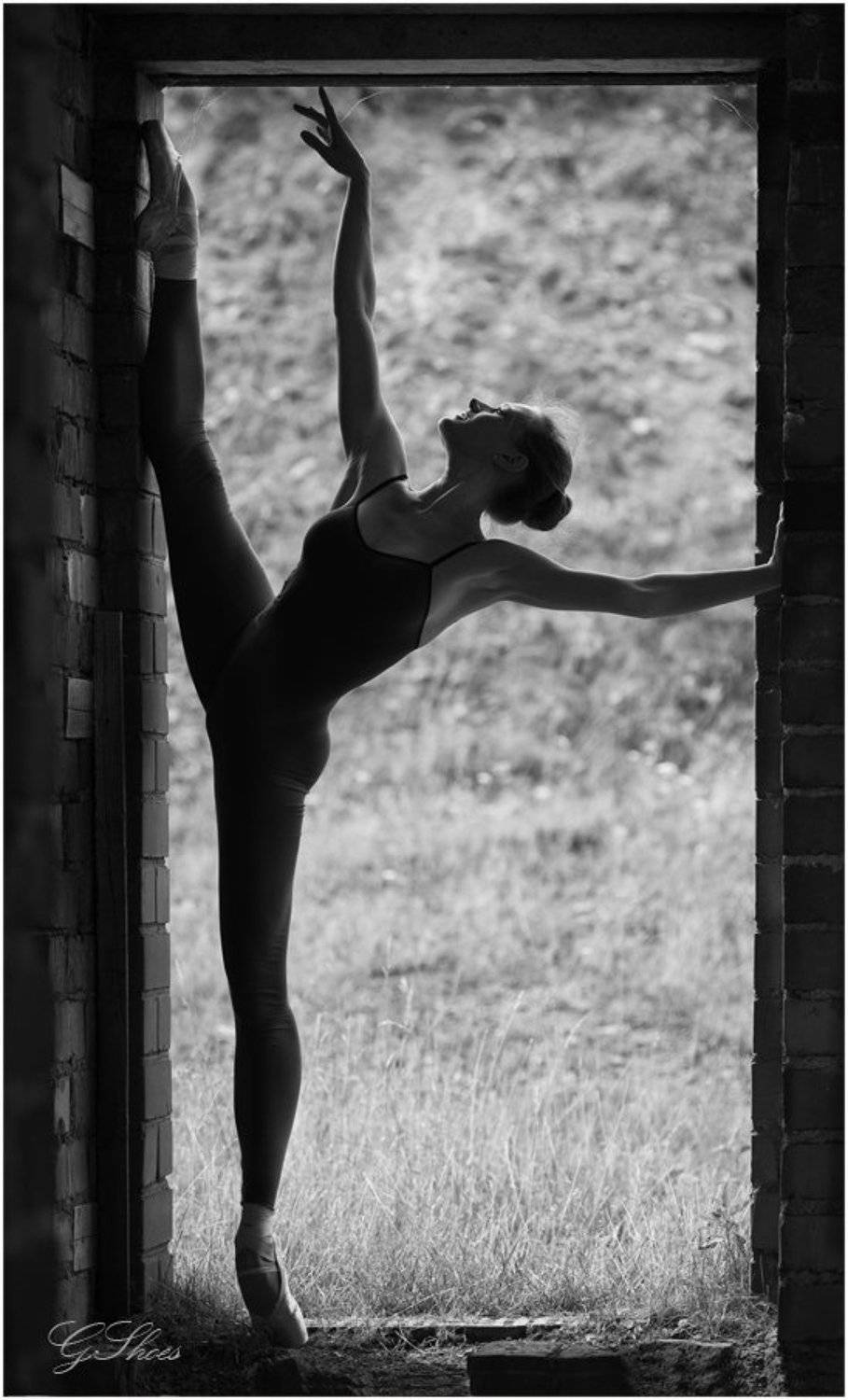 , Георгий Сапожников