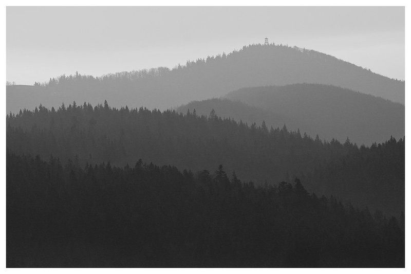 ^^ фото превью