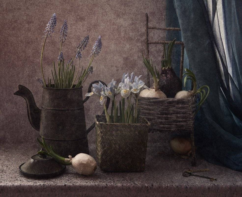 , Гелена Гленкова