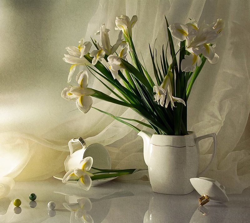 ~***~ фото превью