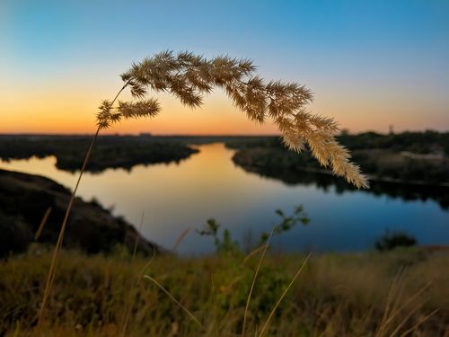 В закате догорающего лета