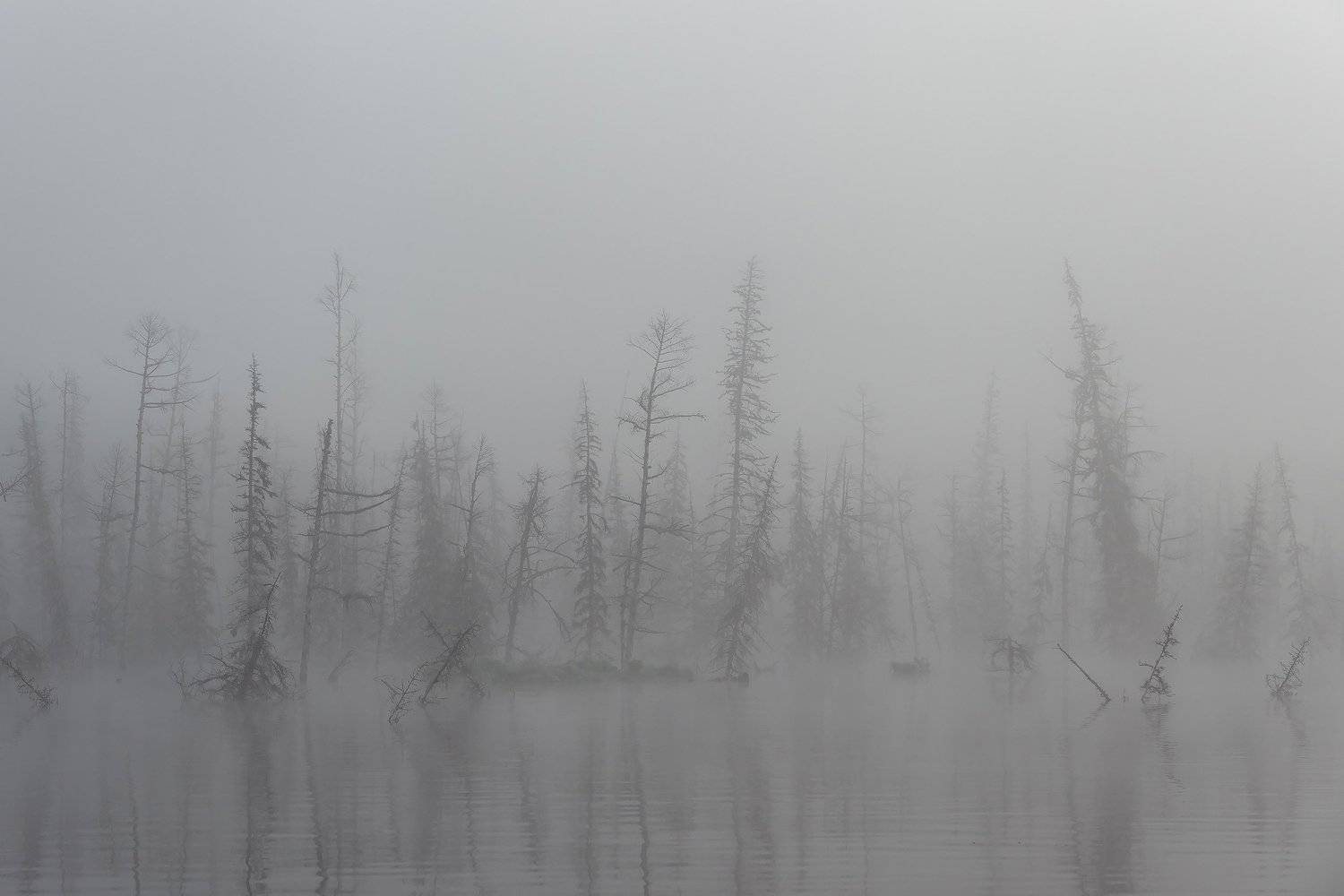 , Александр Ипполитов