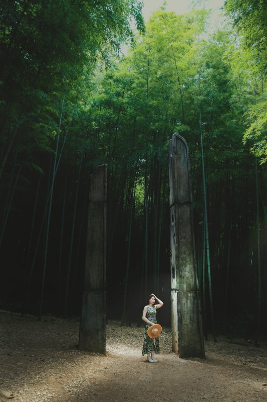 forest фото превью