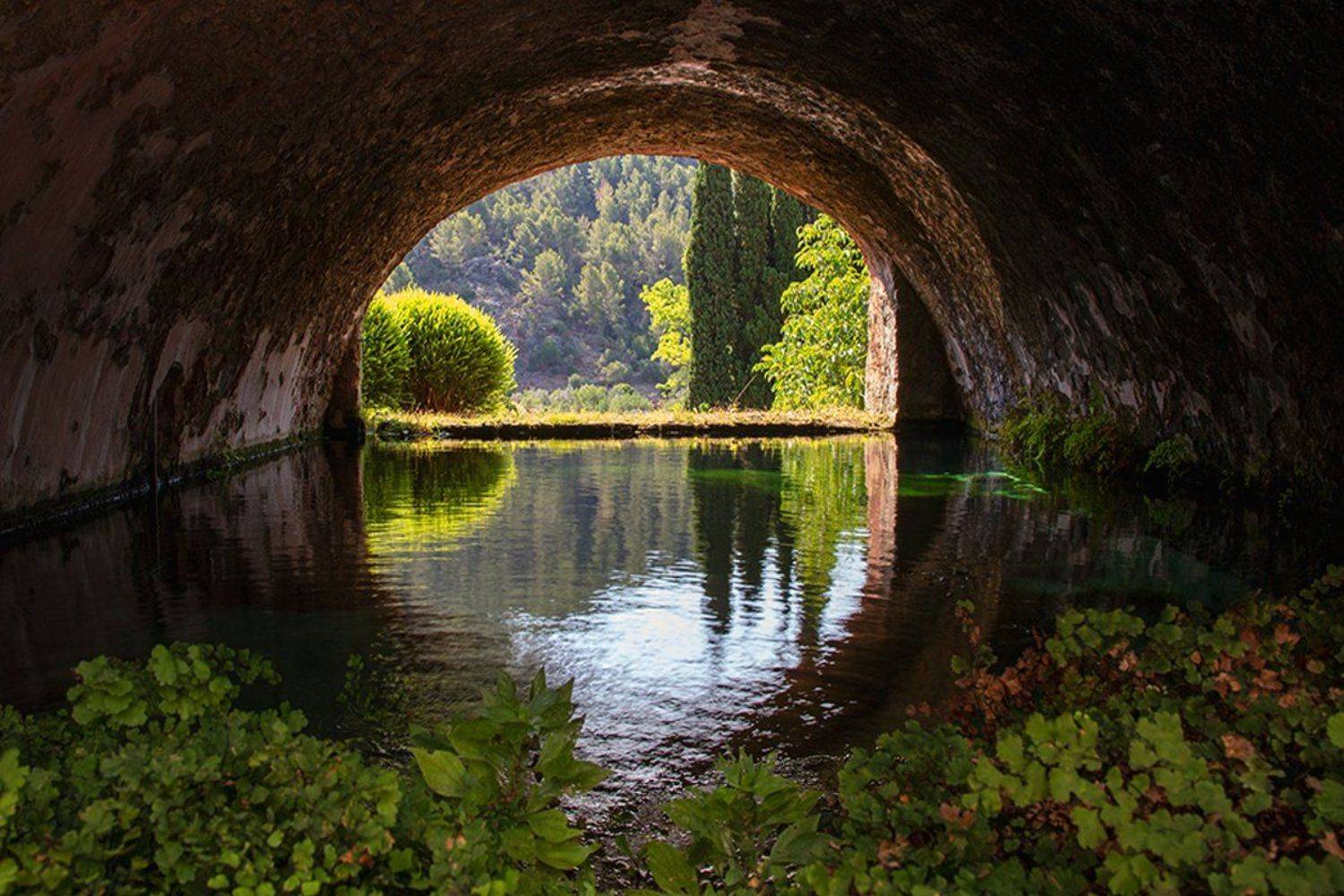 , Игорь Дубровский