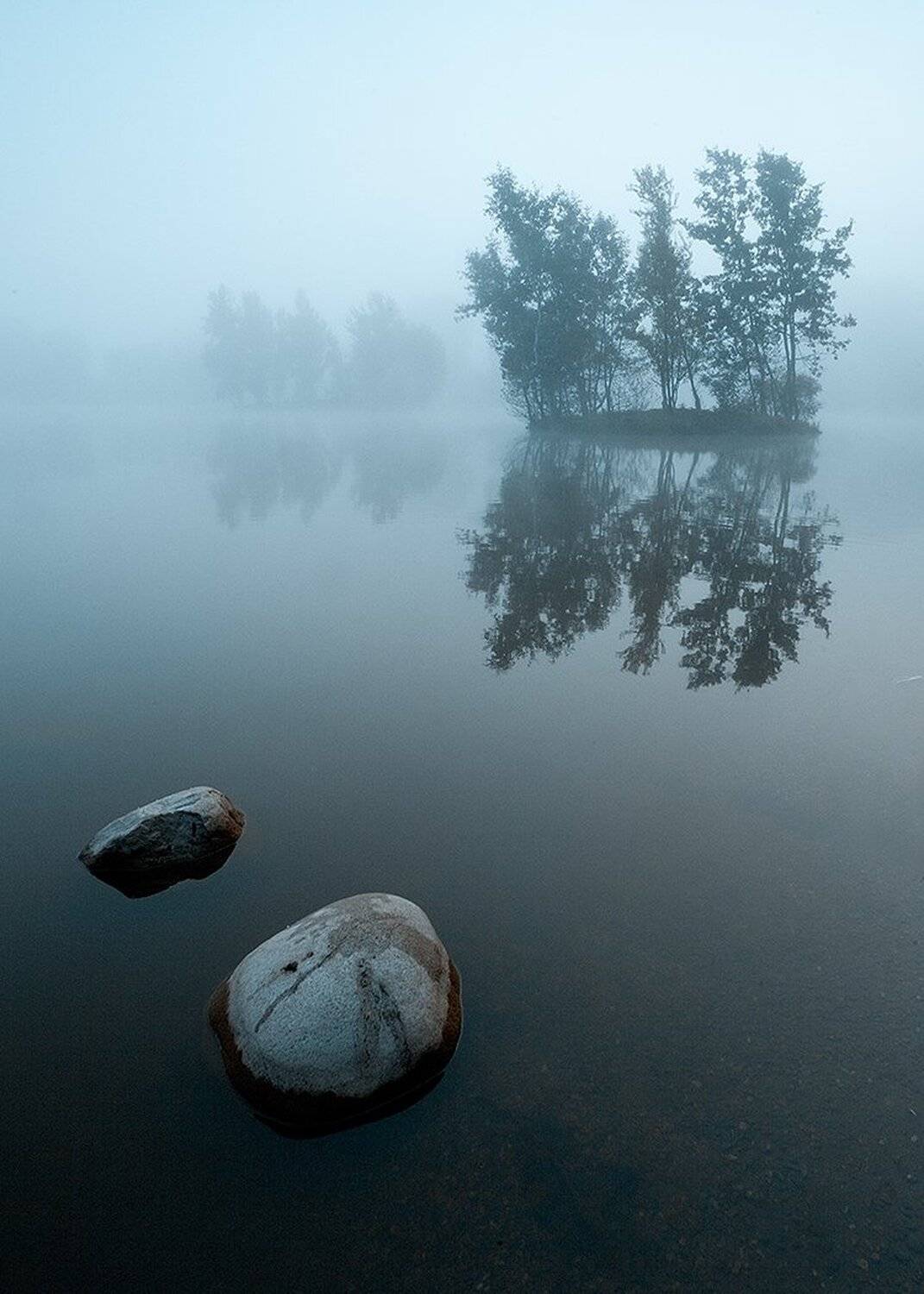Morning. Автор: Robert Adamec , Robert Adamec