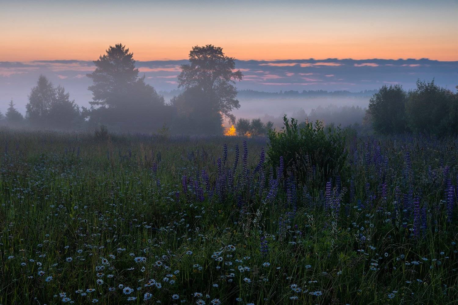 , Дмитрий Асеев