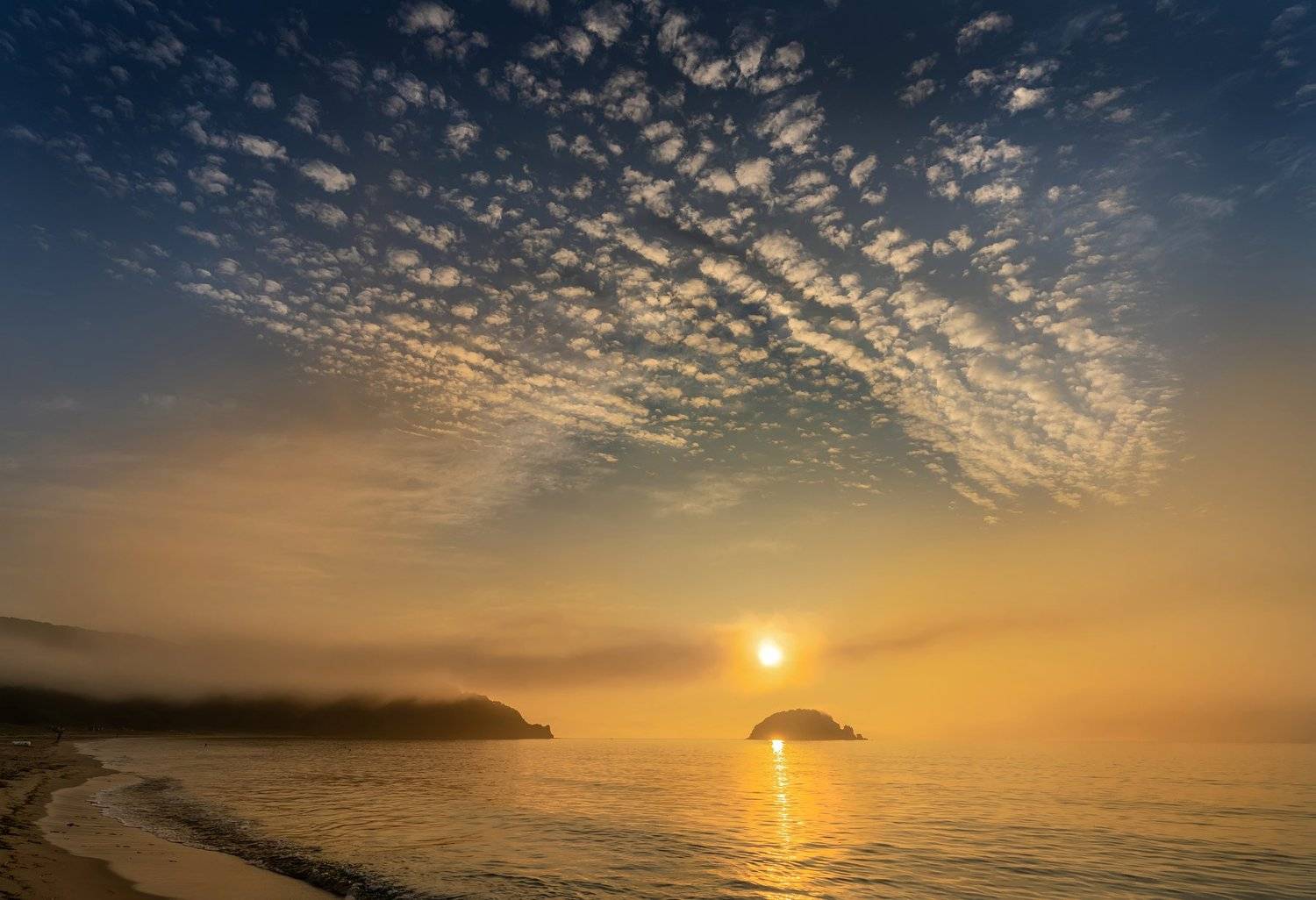 , Ольга Мусиенко