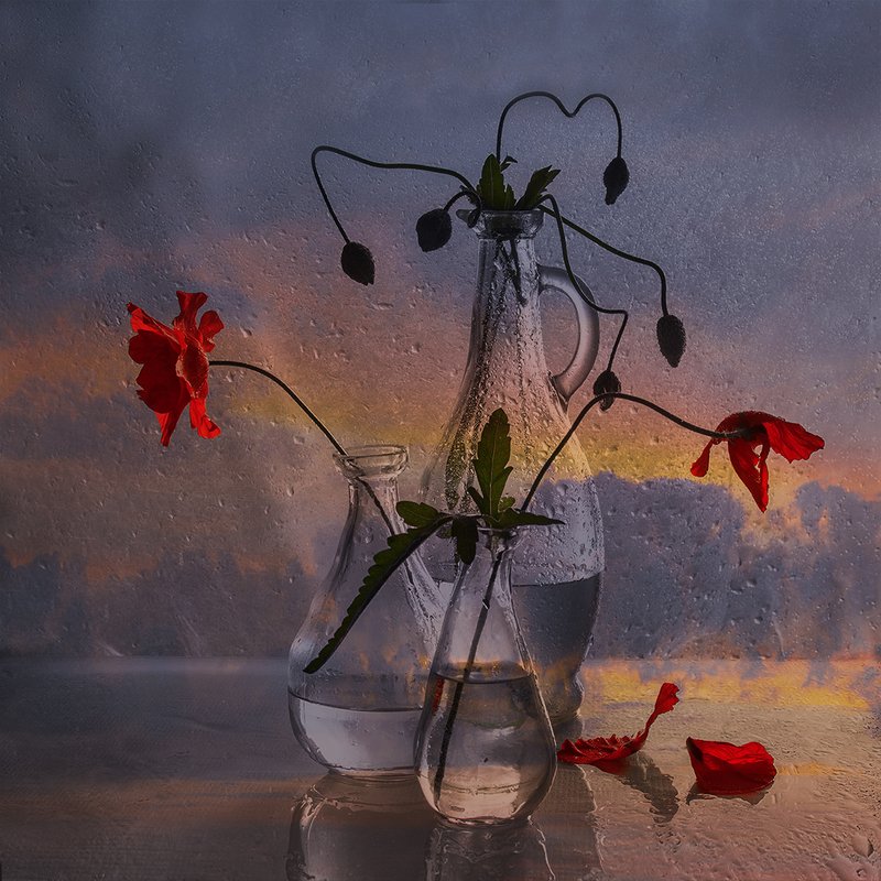 Облетают последние маки... фото превью