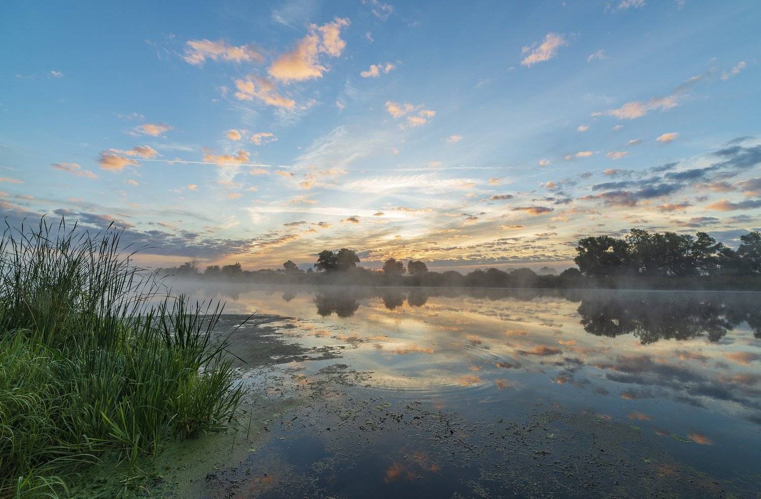 , Дмитрий Новоселов