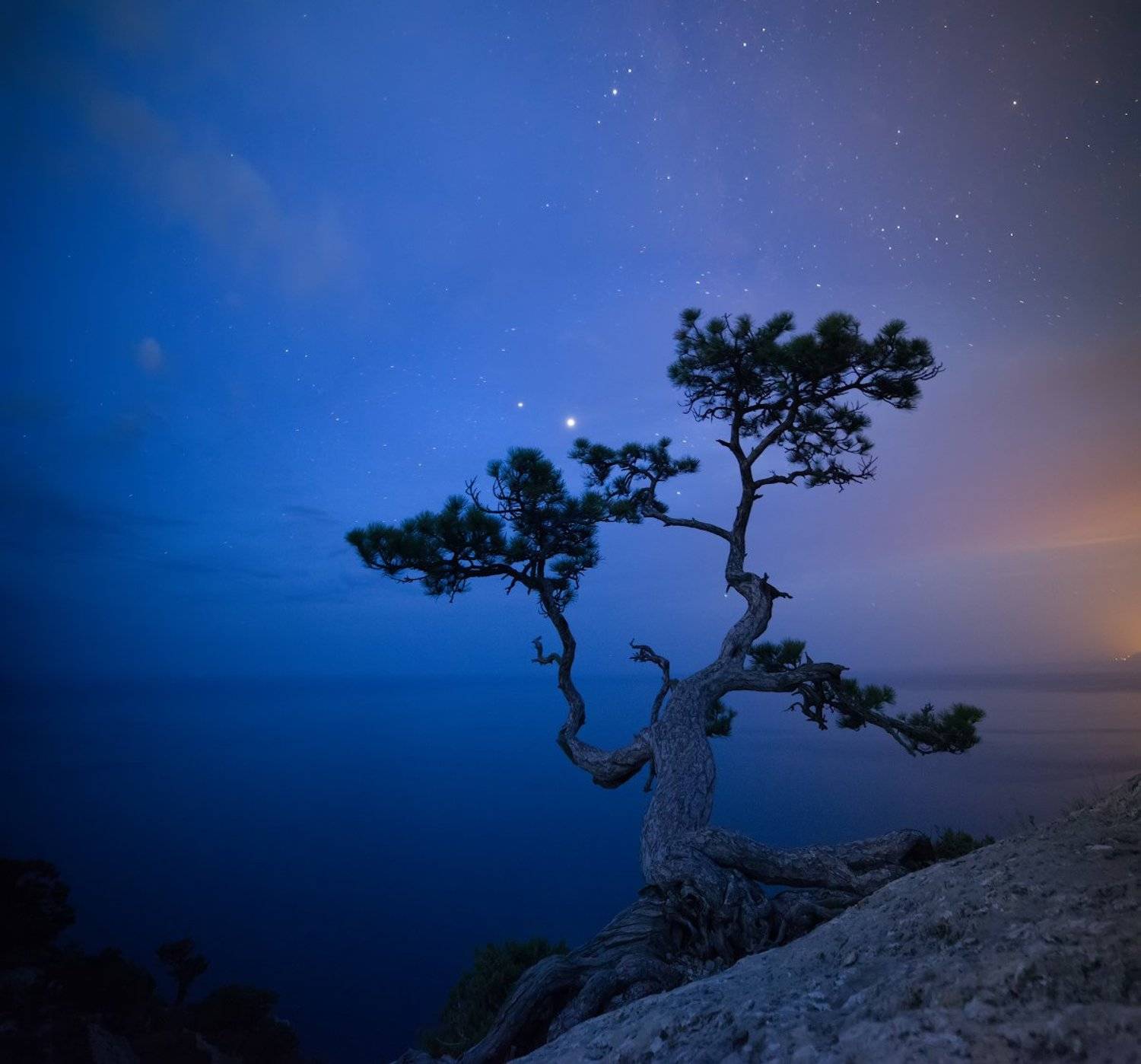 , Романский Владимир (NikonZoom)