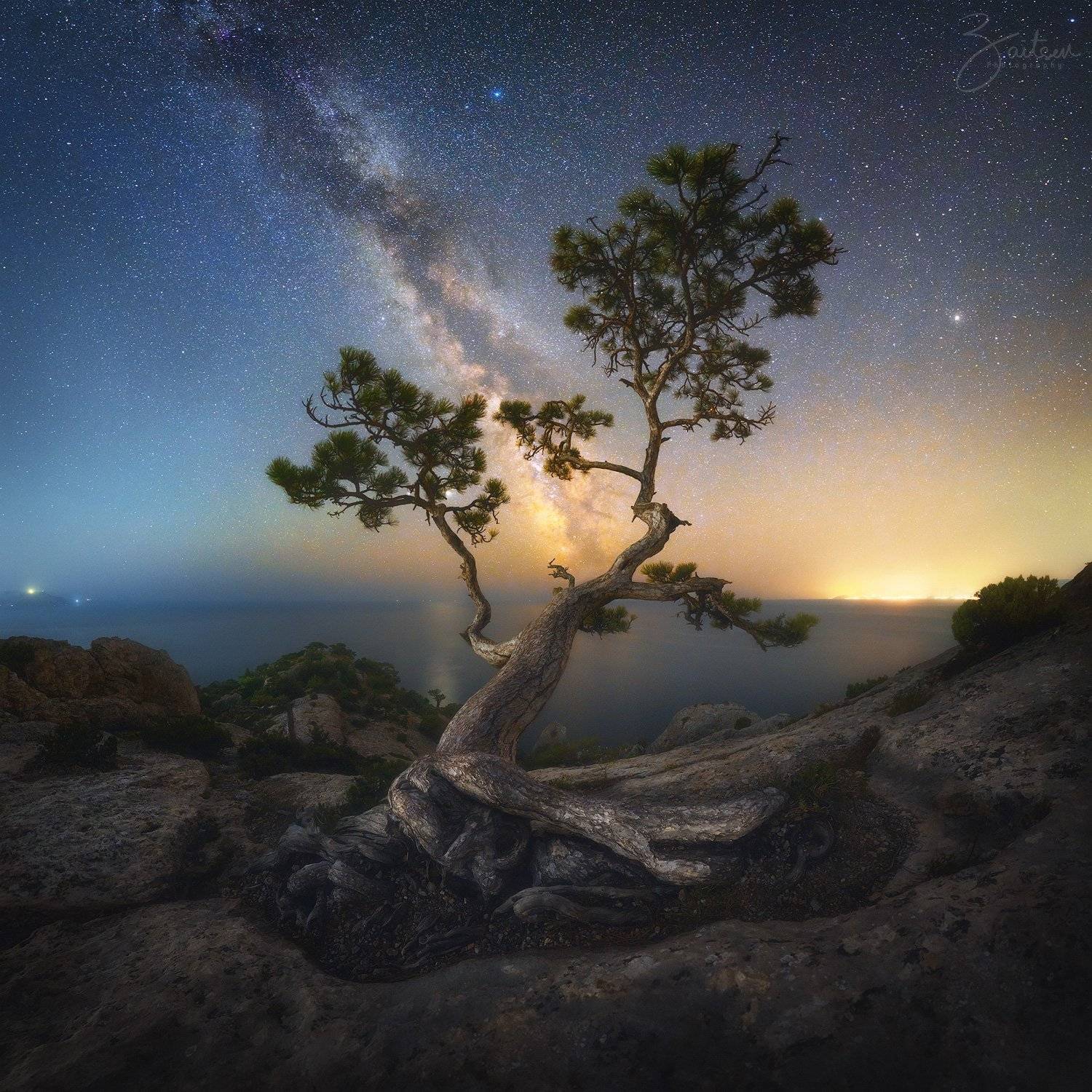 крым, сосна, горы, море, черное море, лето, ночь, млечный путь, звезды, дерево, Женя Зайцев