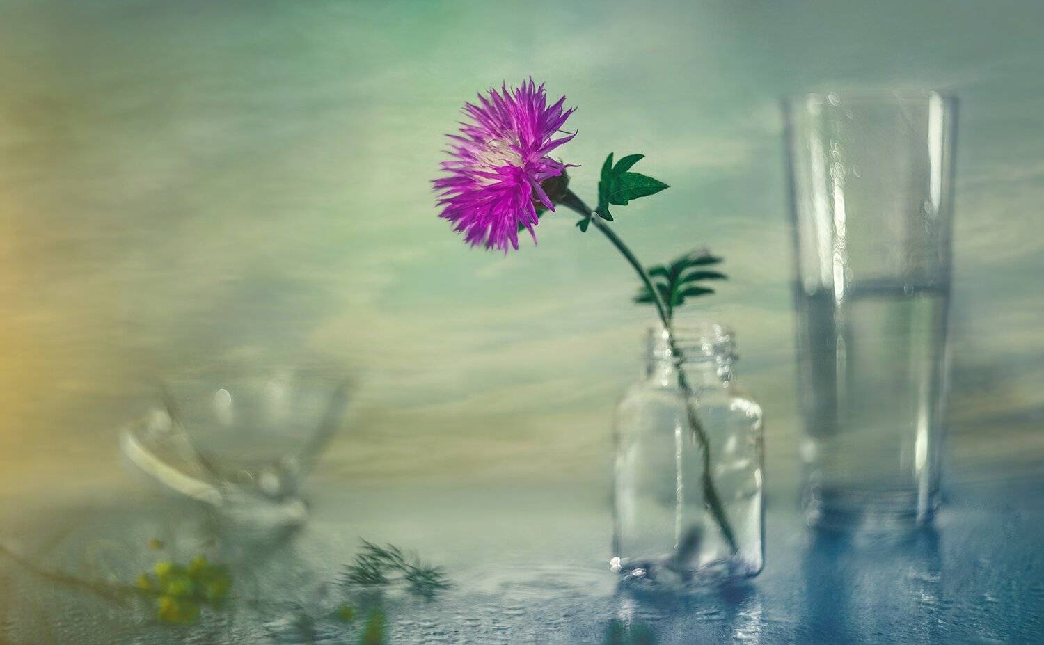 , MVO (Марк Орлов)