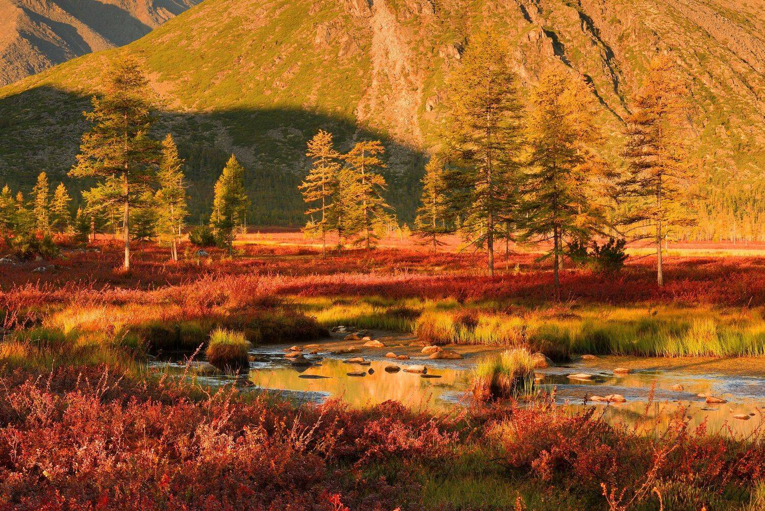 , Максим Евдокимов (phototourtravel.ru)