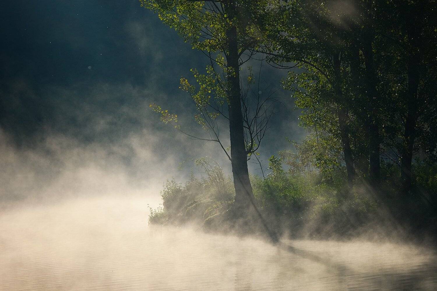 Morning. Автор: Robert Adamec , Robert Adamec