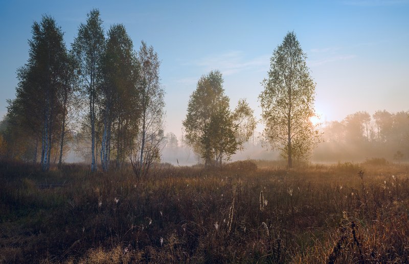 Наедине с рассветом фото превью