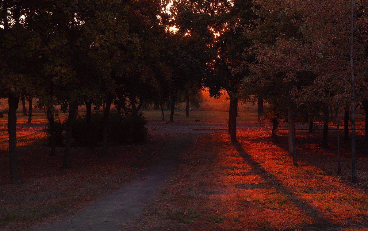 , Александр Хромеев