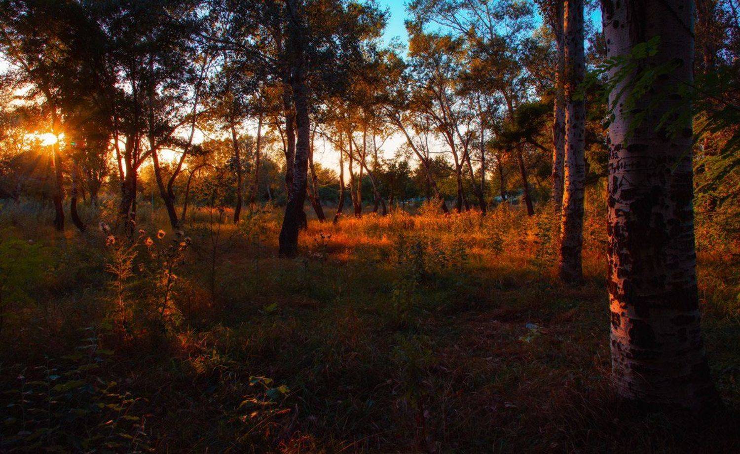 , Александр Хромеев