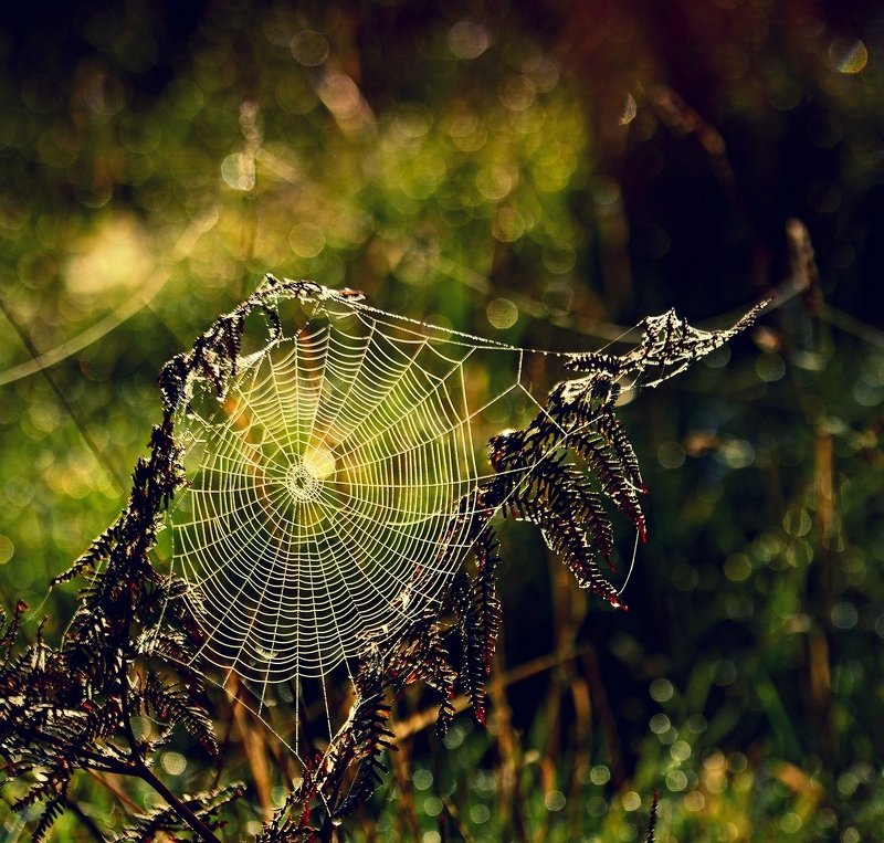 Autumn Is Just Around The Corner фото превью