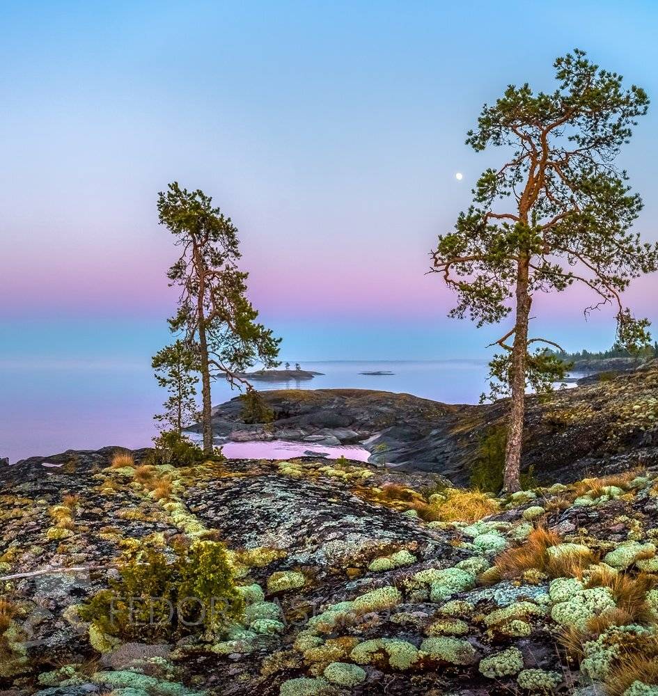 ладожское озеро, карелия, шхеры, лето, остров, гранит, луна, белые ночи, вода, сосна, дерево, берег, мох, ягель,, Лашков Фёдор