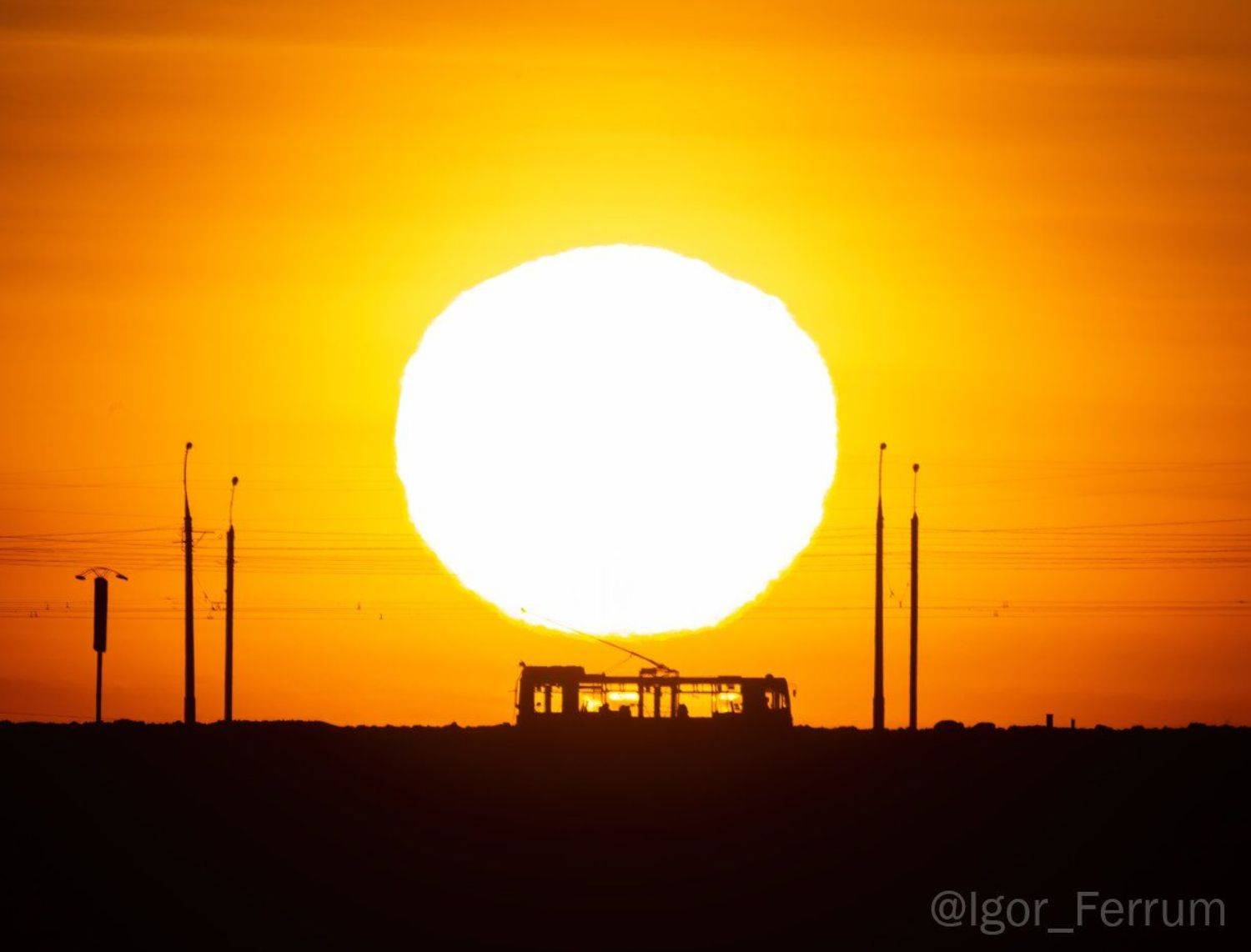 , Игорь Железняк