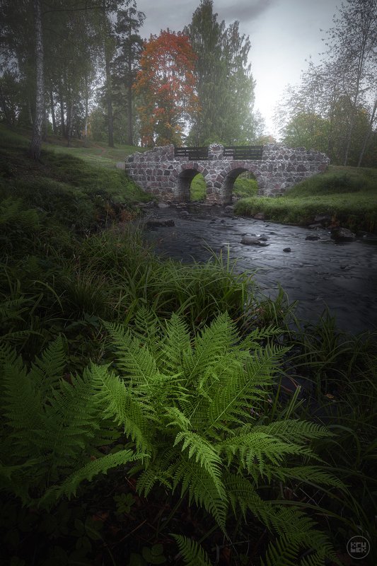 ломоносов, мост, река Туманное утро в Ломоносове фото превью