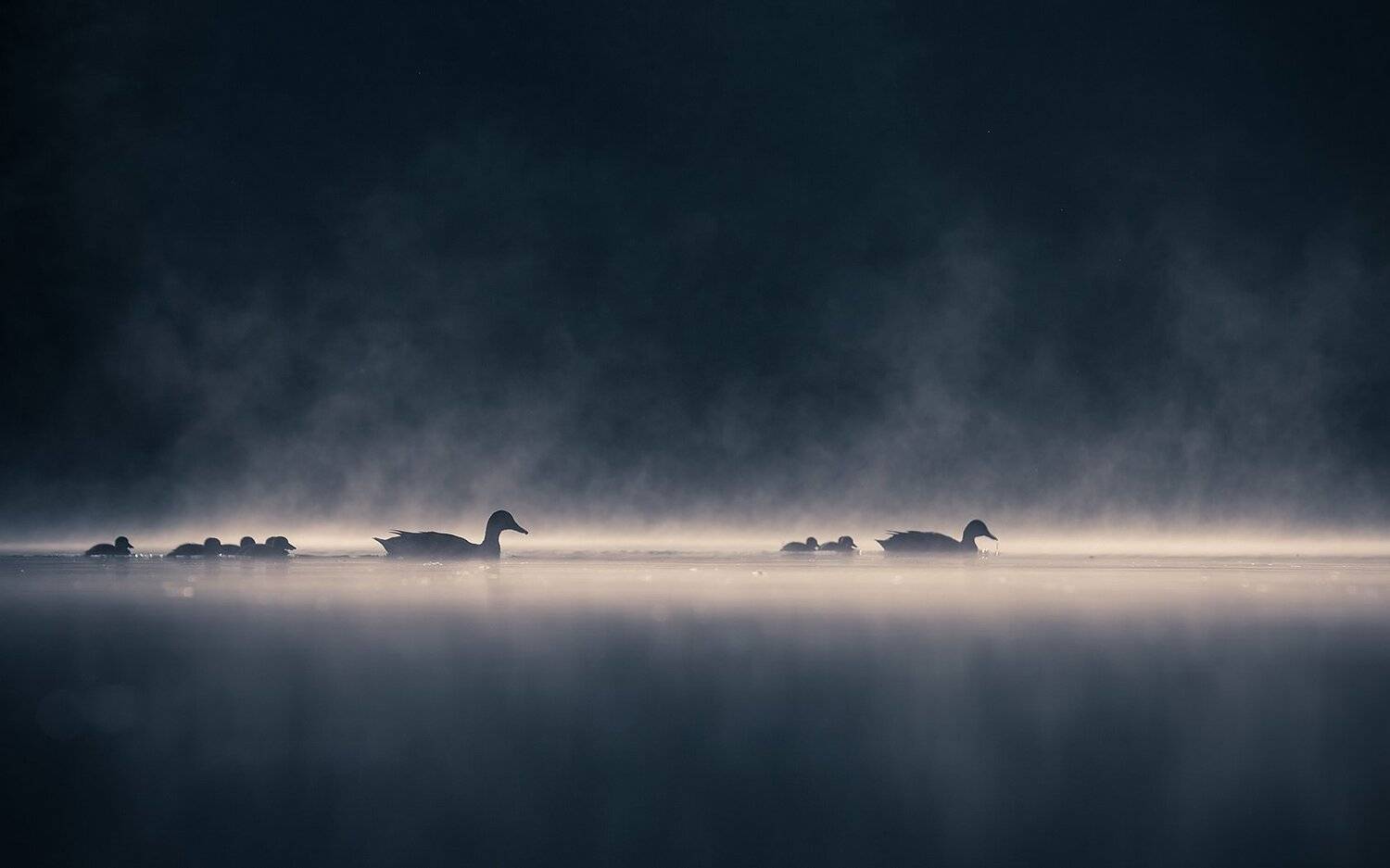 , Robert Adamec