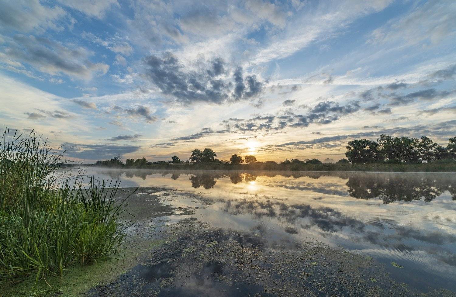 , Дмитрий Новоселов