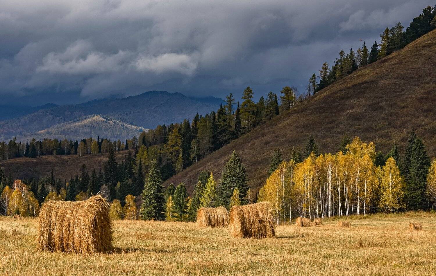 , Евгений Дроботенко