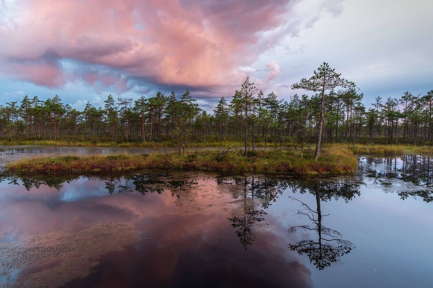 , Анна Пакутина