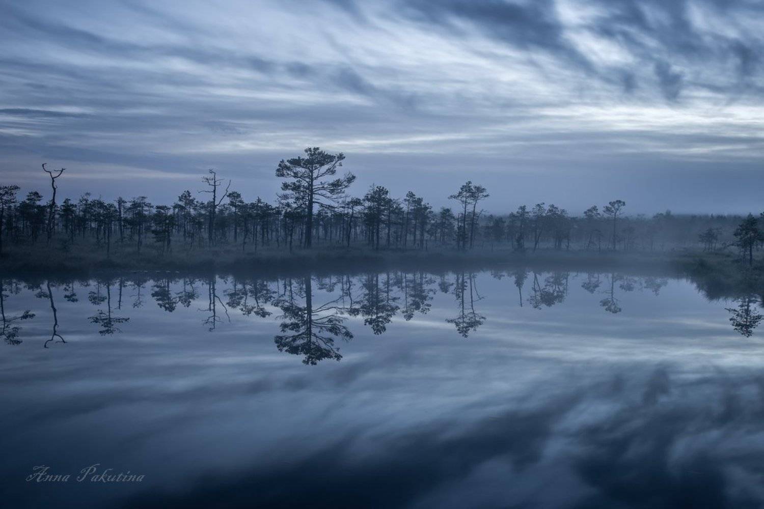 , Анна Пакутина