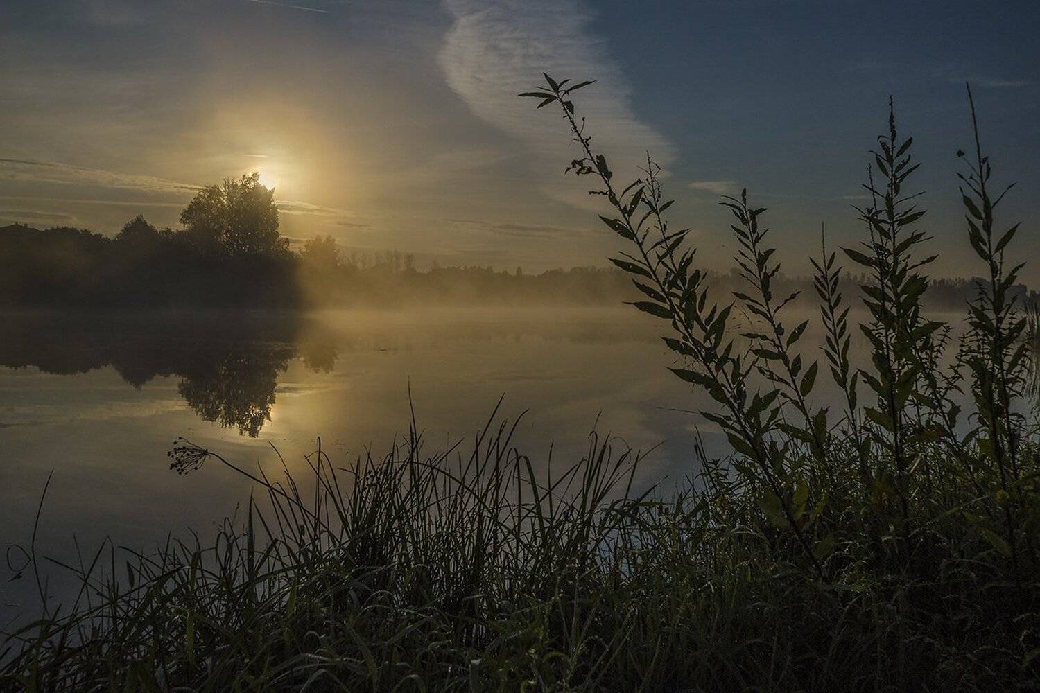 утро, туман, архангельское, Михаил Агеев
