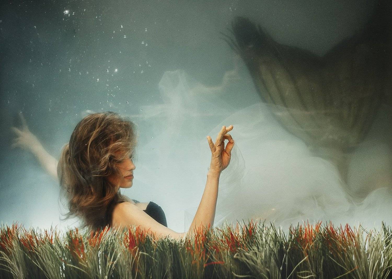 , Алексей Вирусян