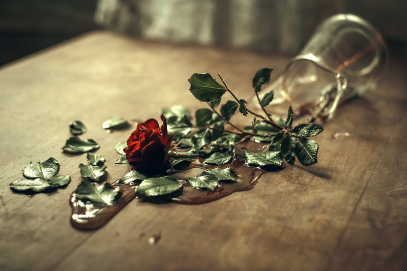Broken rose фото превью
