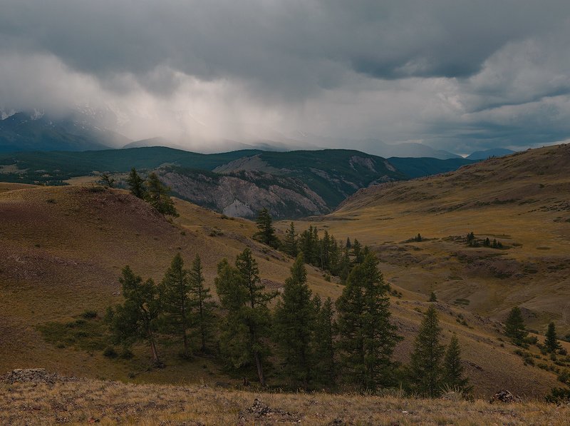 _ фото превью