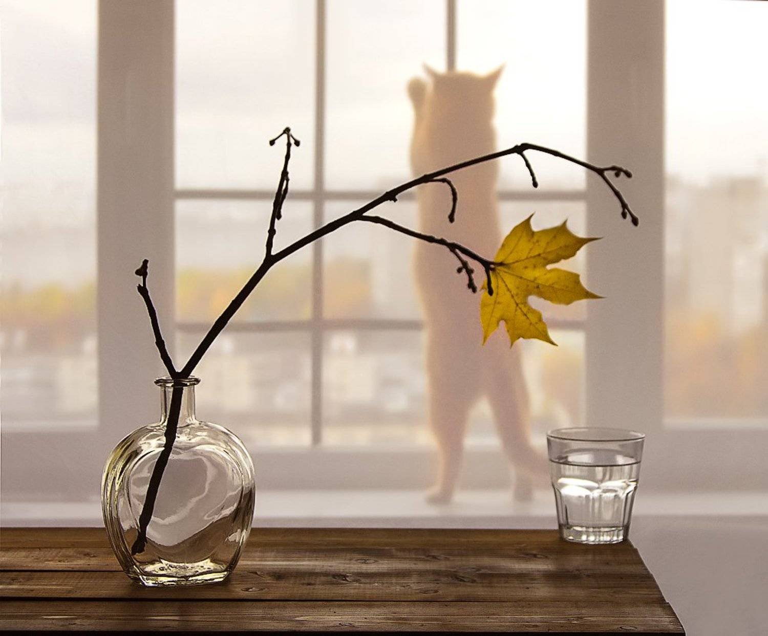 натюрморт кошка осень, Ирина Фурашова