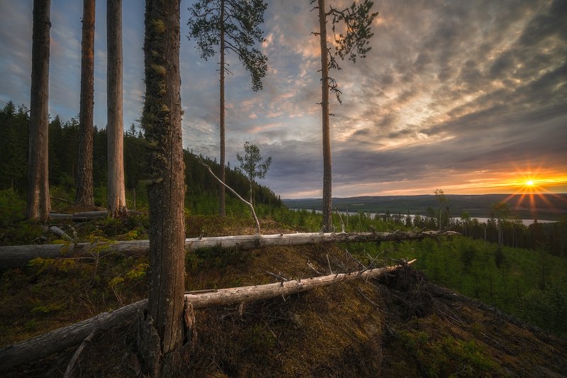Clouds, Dalecarlia, dead trees, Fallen Trees, Forest, Grejsan, Grejsanberget, Grejsans Fäbod, lake, Lake Amungen, Leachen, morning, Morning Mood, moss, Mountain Grejsan, Mountain Pasture, nature, outdoors, Sun, Sun Star, sunrise, Sweden, Tree trunk, trees Revelation фото превью