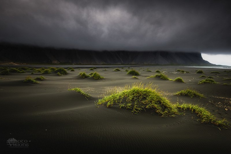iceland,beach,black beach,summer,icelandic,north,nordic, Black beach in Stokksnes, IS фото превью