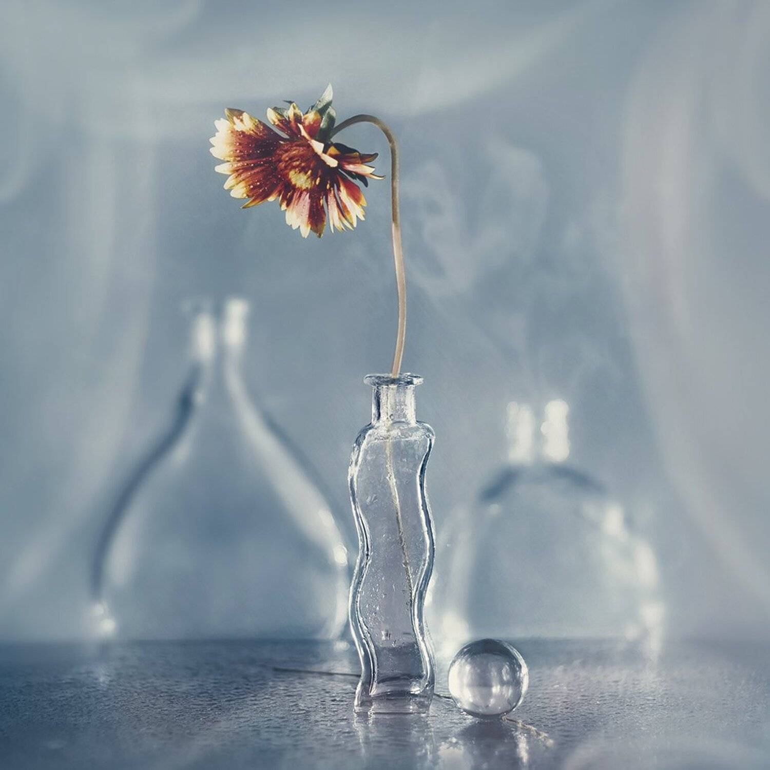 , MVO (Марк Орлов)