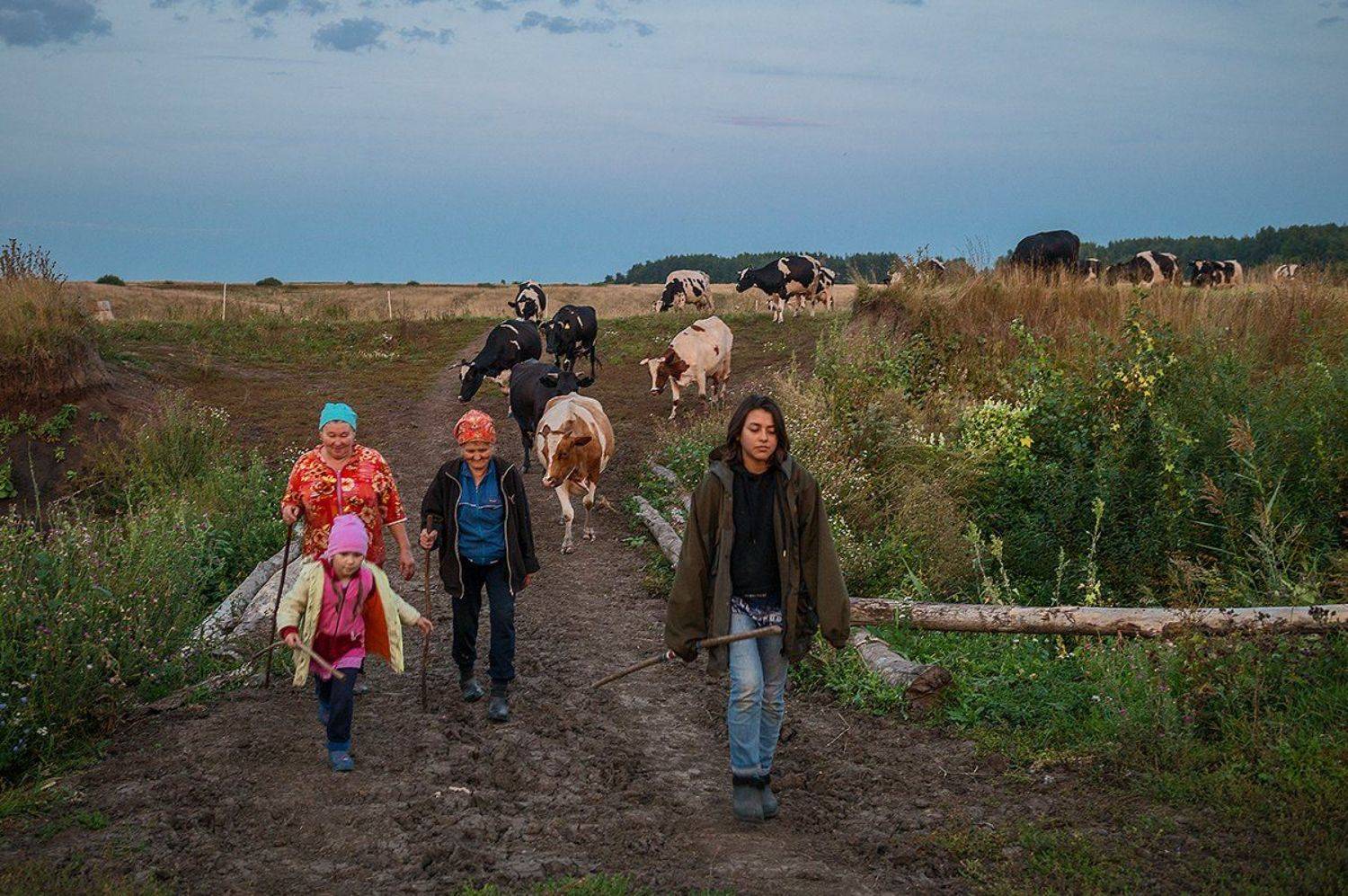 Провинция, село, вечер, Владислав Никишин