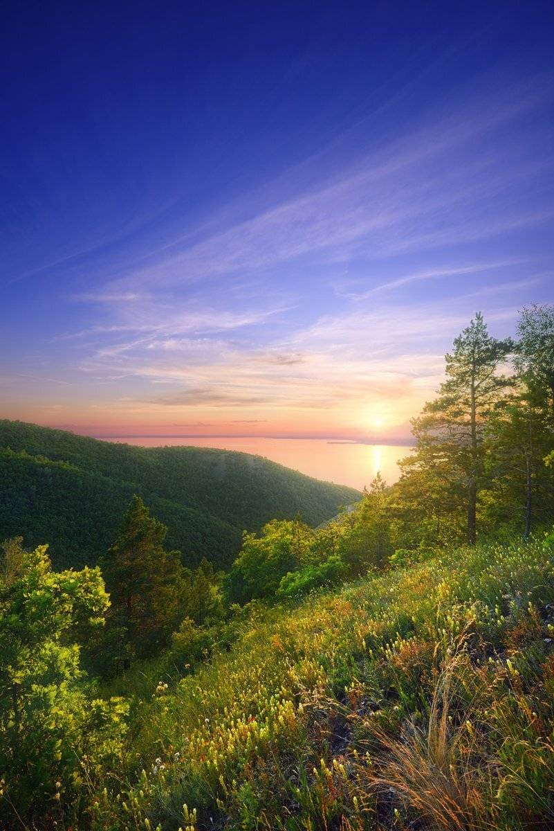 , Александр Тормосин