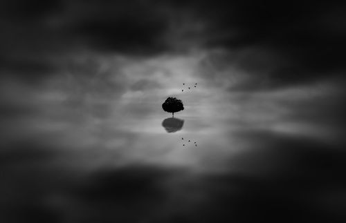 Lonely Tree