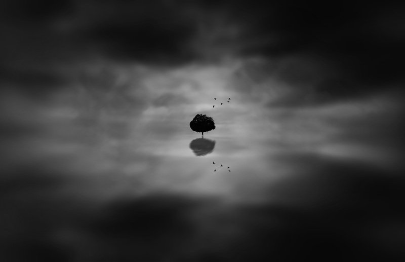 fineart Lonely Tree фото превью