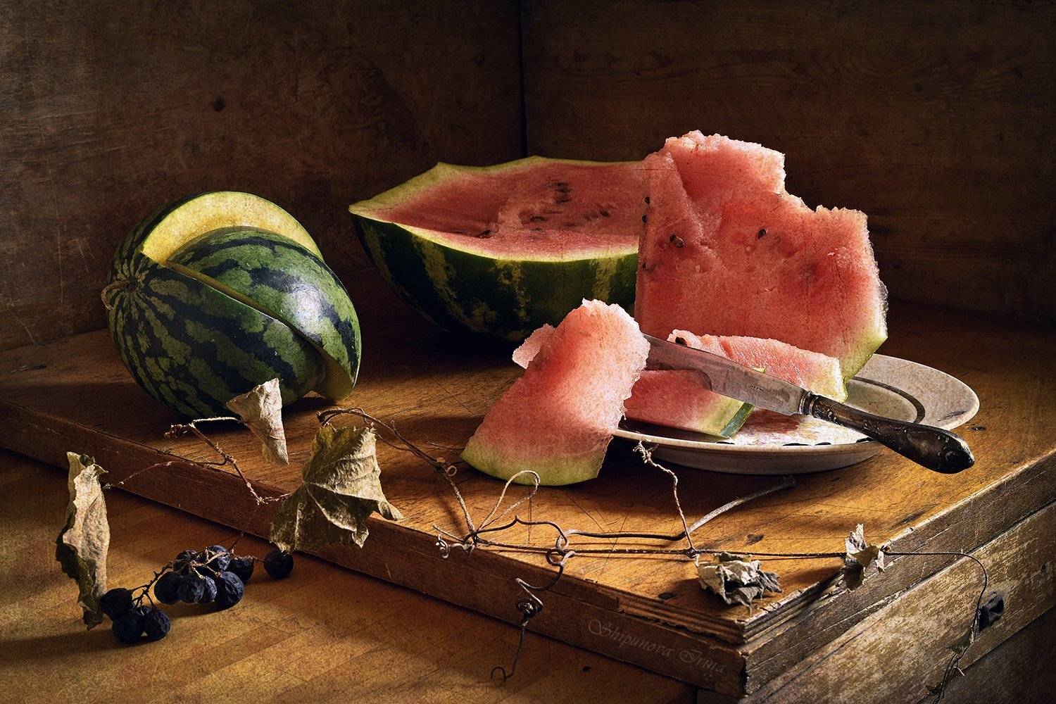 , Шипунова Ирина