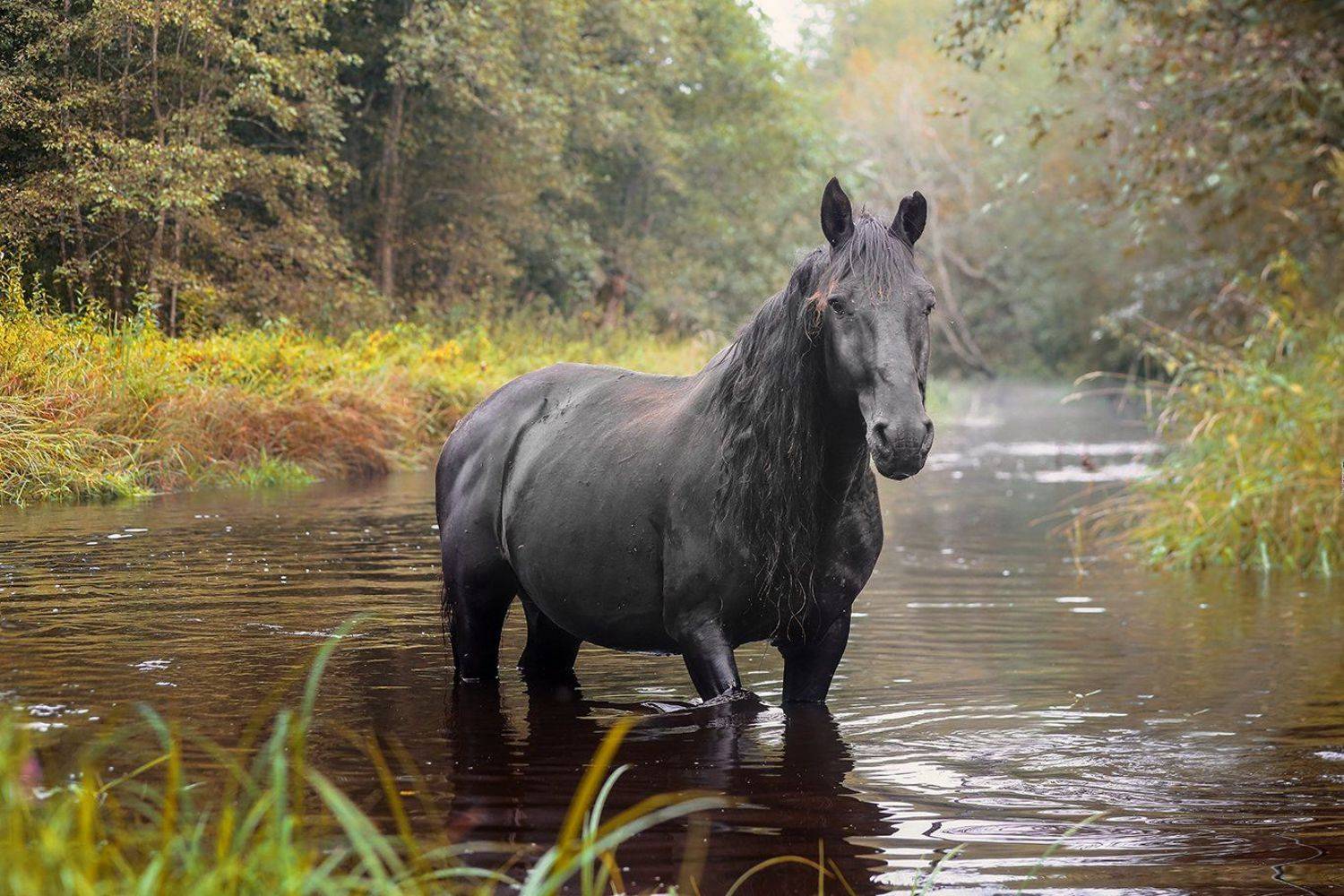 , Андрей Ершов