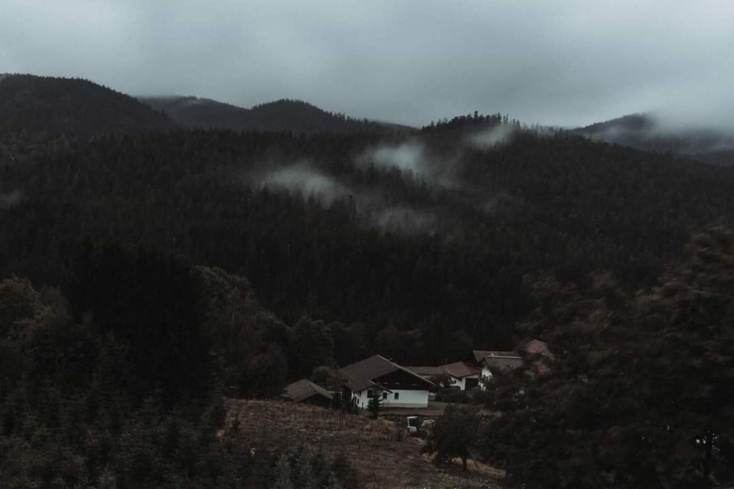 , Михалакий Дмитрий